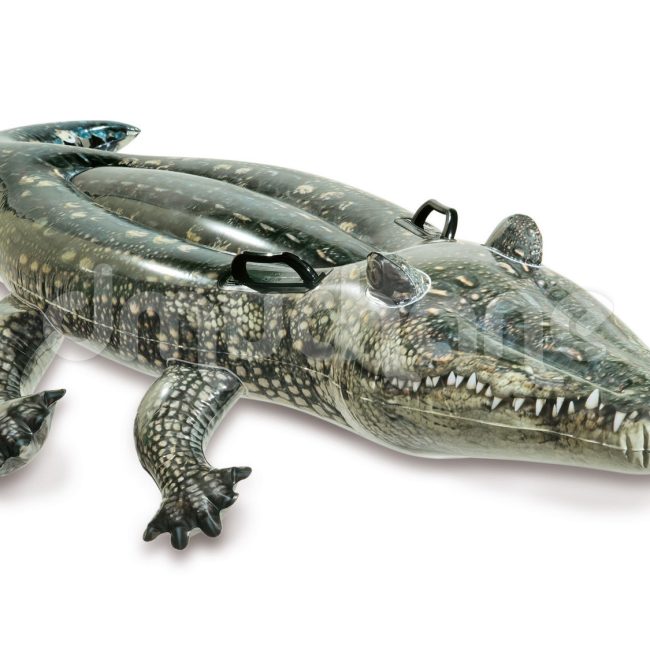 Aligator dmuchany do pływania 170 x 86 cm INTEX 57551
